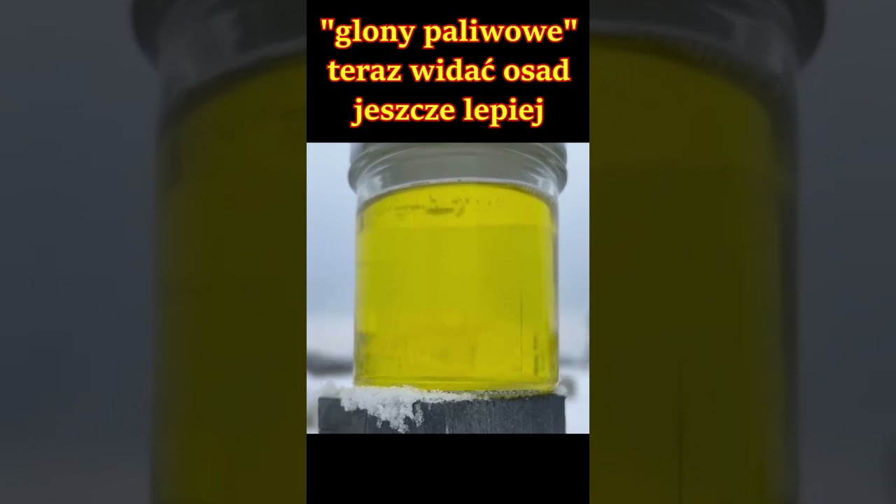 Paliwo Diesel B7 a B0? Glony paliwowe? Badanie paliwa  - wyniki? Osady w zbiorniku? testy 44tuning