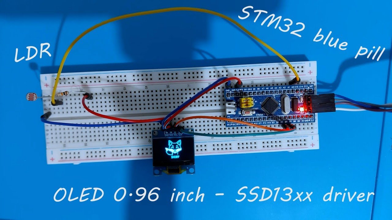 Эта лиса пугается в темноте! 🦊🌑 | Проект на базе STM32 + OLED (SSD1306 / 1315) + I2C + ADC DMA + LDR