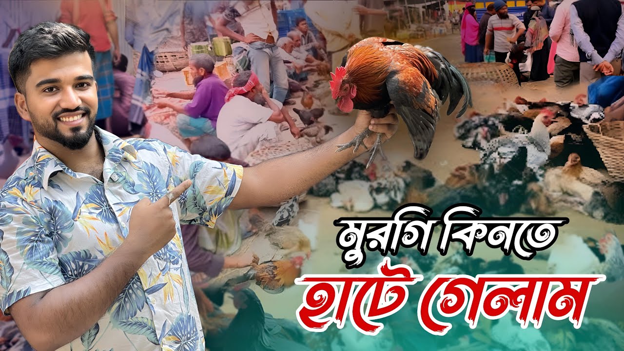 দেশি মুরগির খামার শুরু করতে হাট থেকে মুরগি কিনতে গেলাম আজ । আজকে মুরগির দাম কেমন?