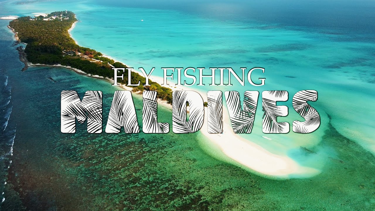 Lavezzinifly - Fly Fishing Maldives [pesca a mosca mari tropicali, GT, Blue Fin, Rainbow Runner]