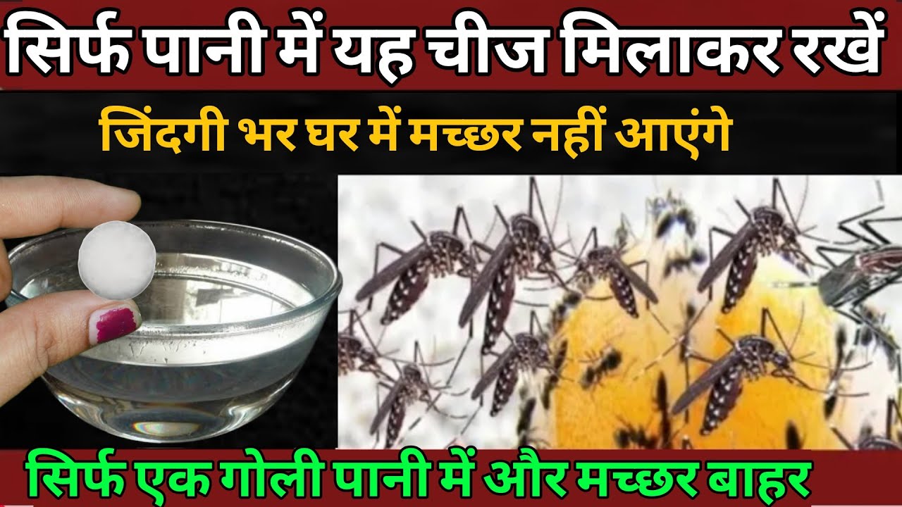 ना कॉइल ❌ ना स्प्रे ❌ मच्छर भगाने का आसान तरीका 🔥Mosquito Repellent at Home
