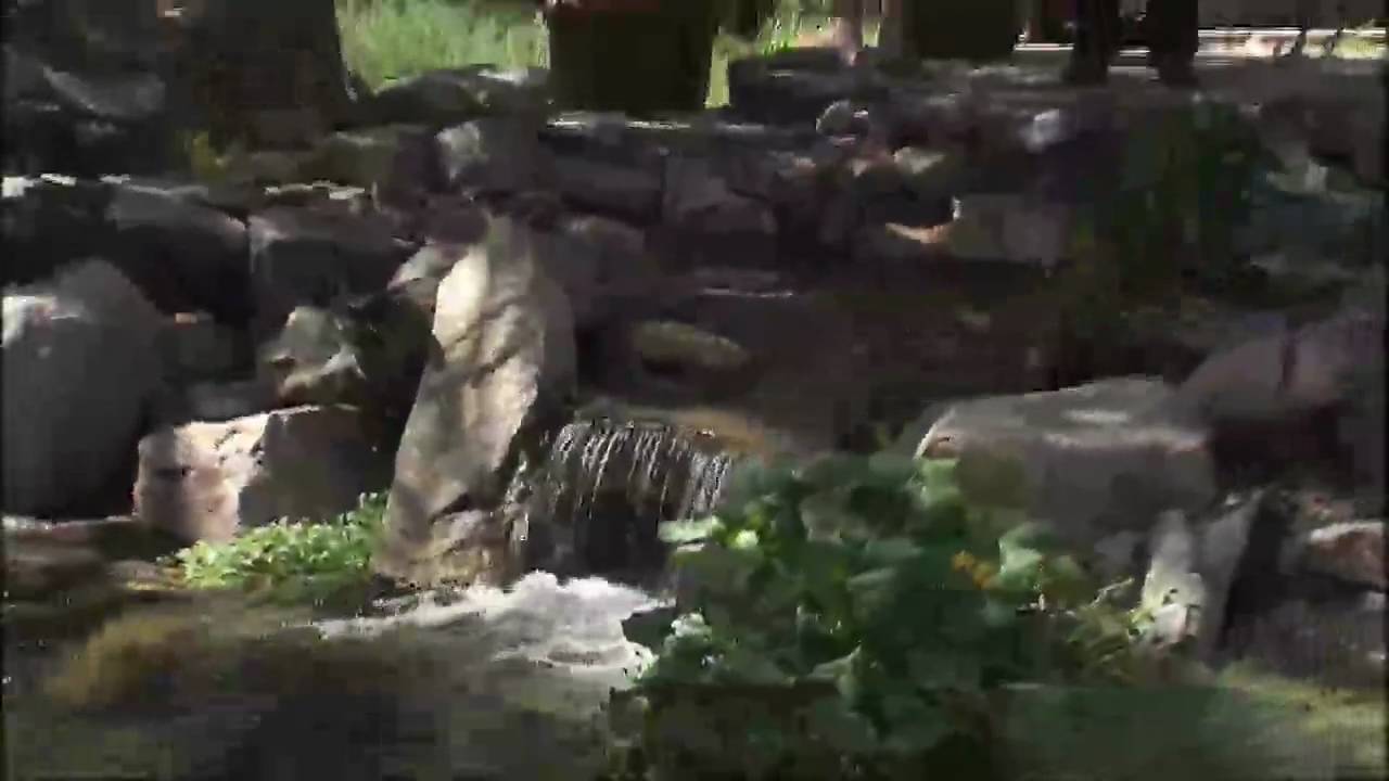 True Pump Display Gardens