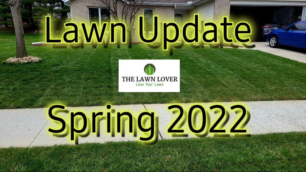 Spring Lawn Update 2022 - Steps to Take In Spring To Improve Your Lawn