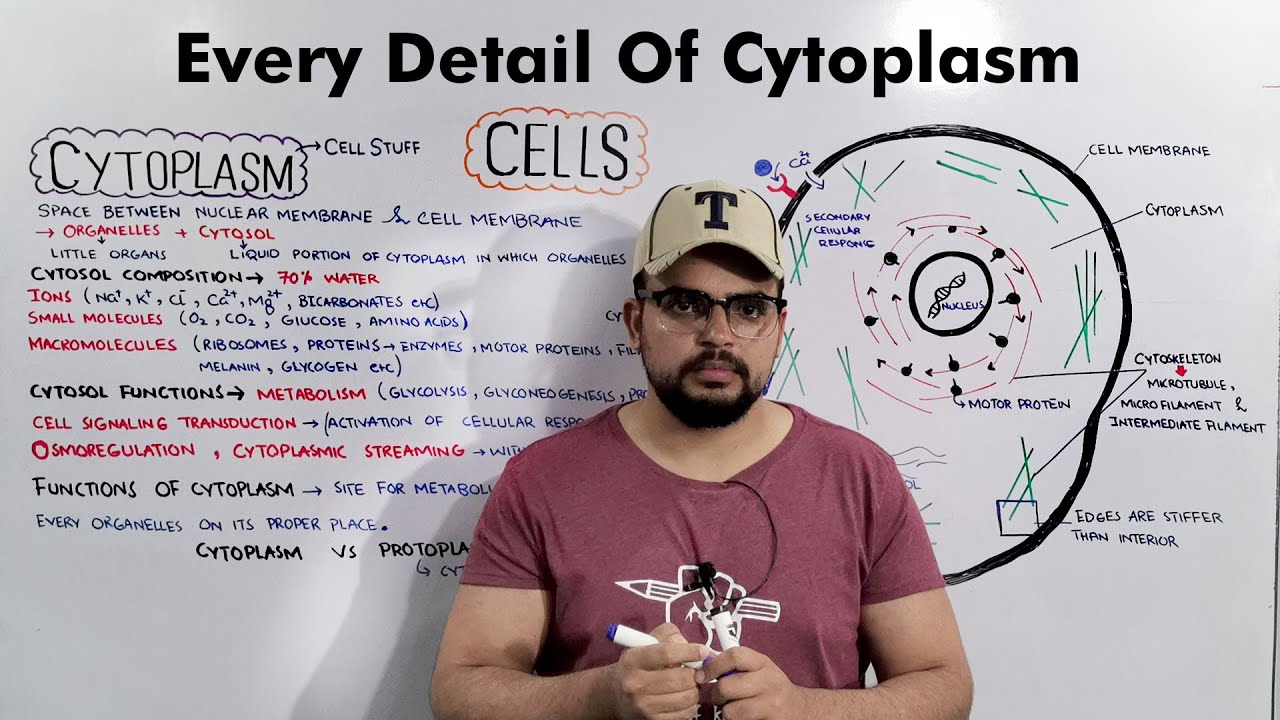 Cell Cytoplasm (Composition, Structure and Functions Of Cytoplasm) Detailed Lecture
