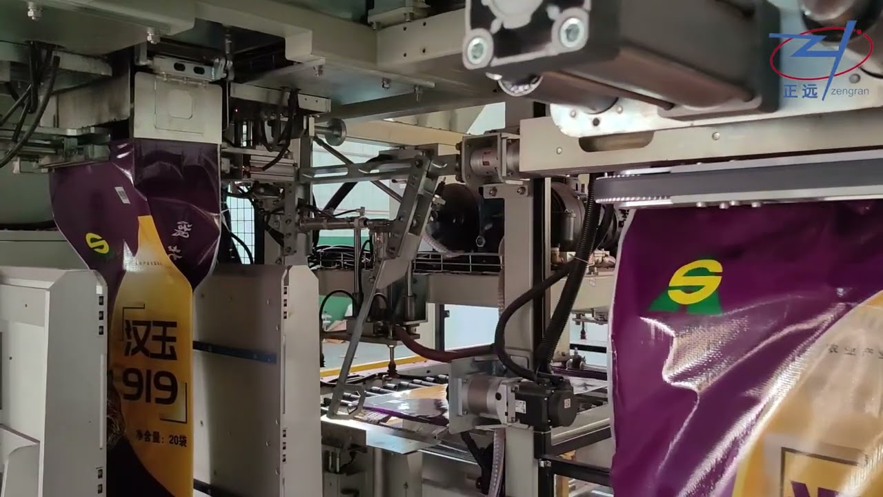 Bag in Bag Secondary Packing Machine | 1KG/2KG bag into PP Woven Master Bag