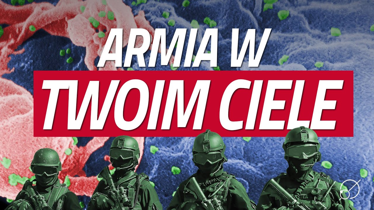 Jak działa Twój system odporności?