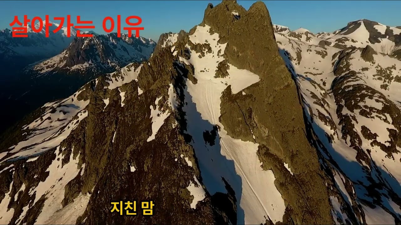 살아가는 이유