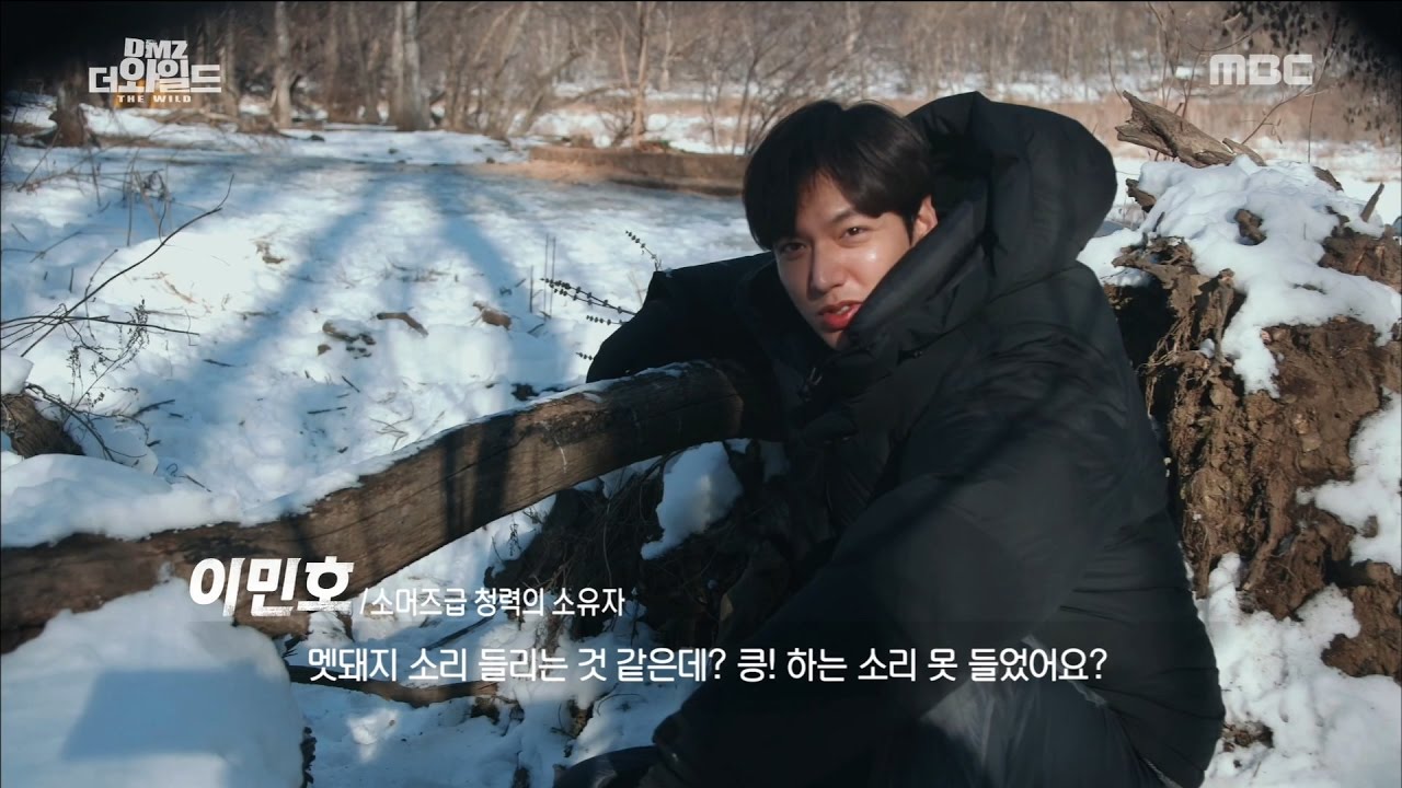 [MBC Documetary Special] - 긴 기다림 끝에 만난 DMZ의 진짜 주인 '멧돼지'  20170403