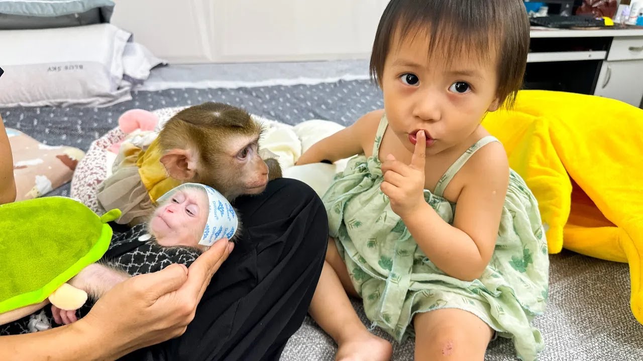 Diem told Monkey Kaka to be quiet to let Monkey Mit sleep when she was sick.