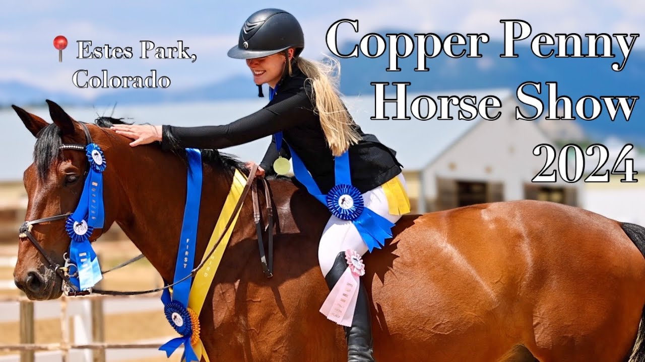 I competed in hunters & Eq?! | Horse Show Vlog! Estes Park 2024!