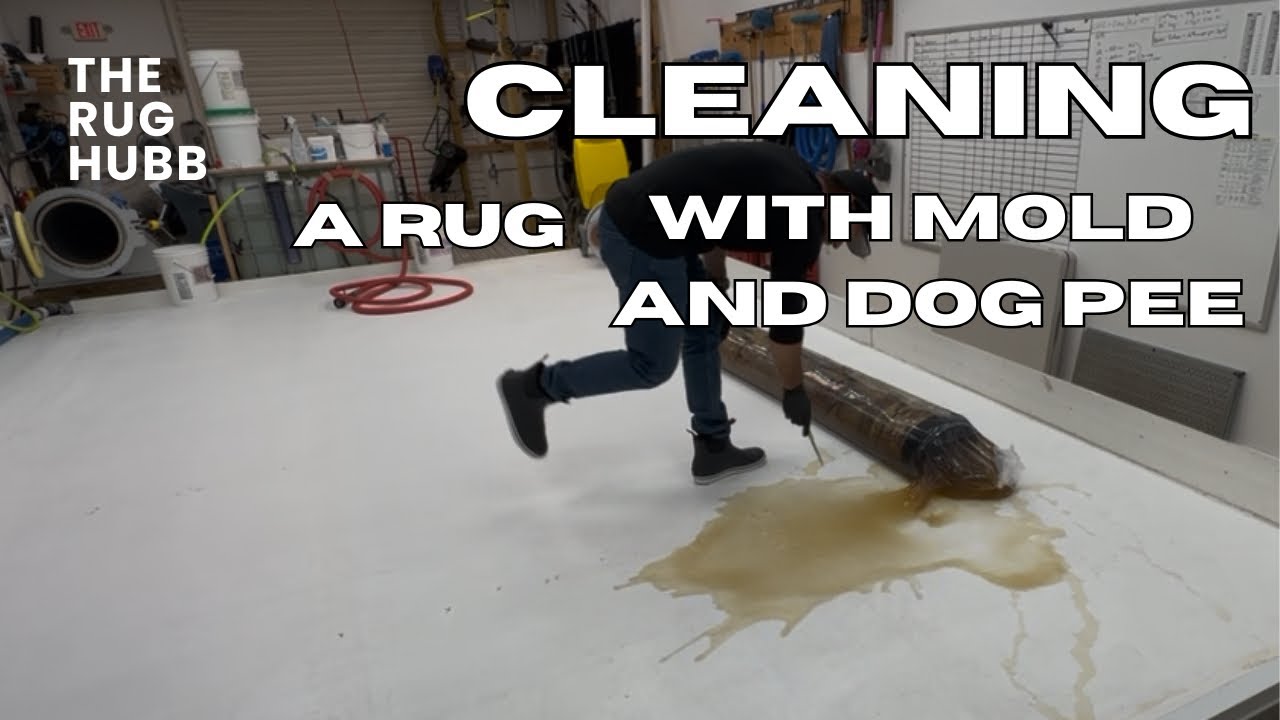 Rug Cleaning with bad odor 