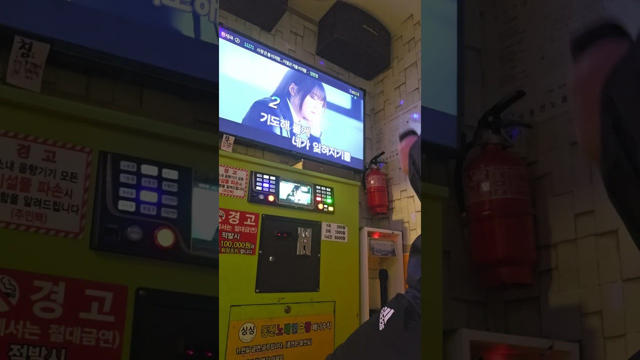 임현정 사랑은봄비처럼...이별은겨울비처럼