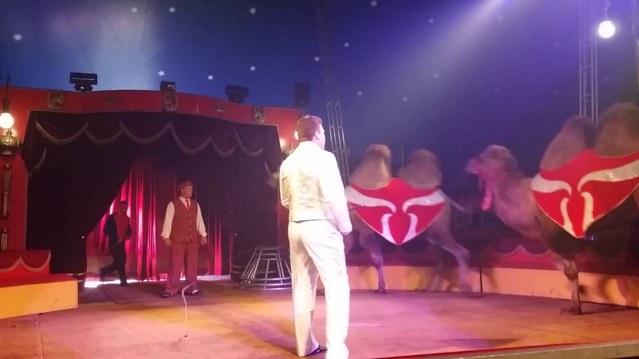 Circus barones(13)
