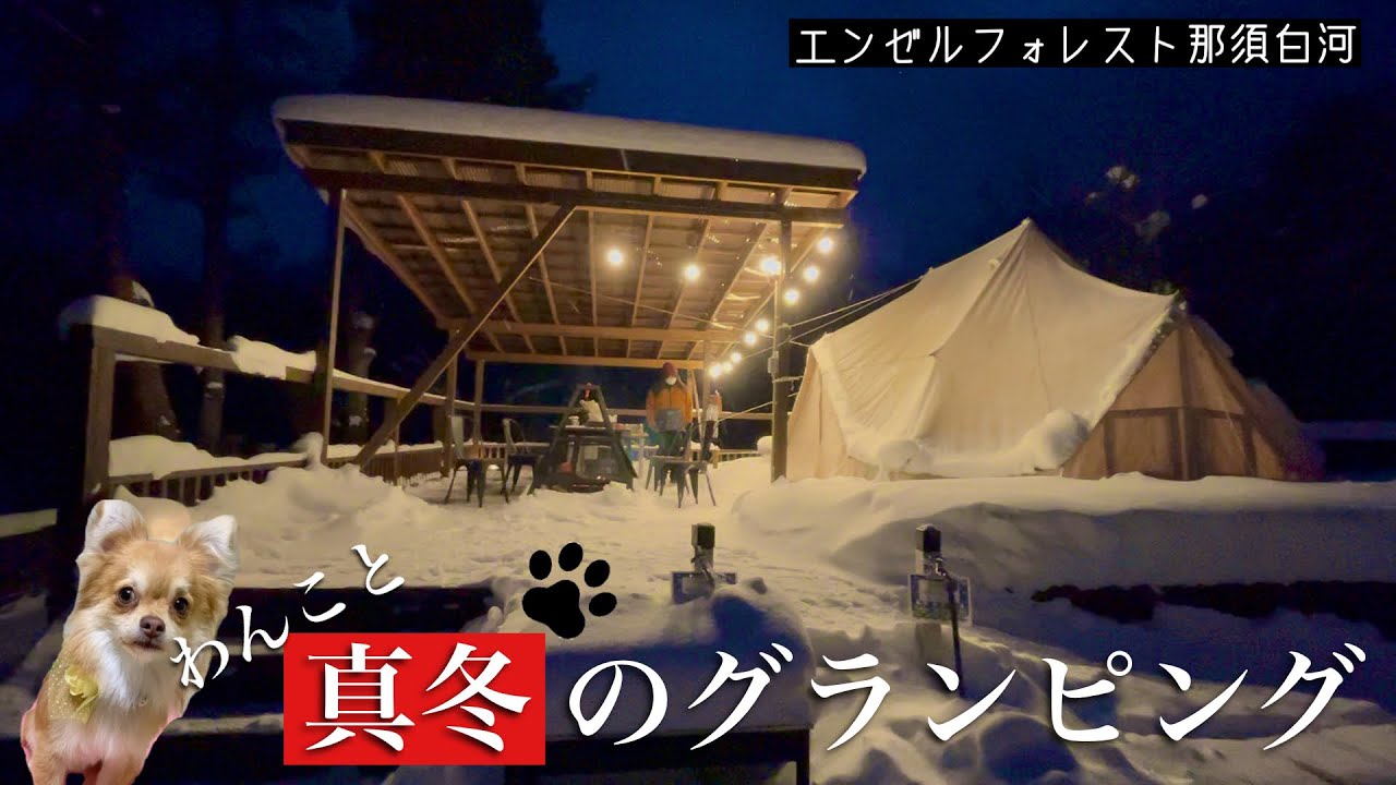 【犬旅】真冬のグランピングglamping☆エンゼルフォレスト那須白河【冬キャンプ】
