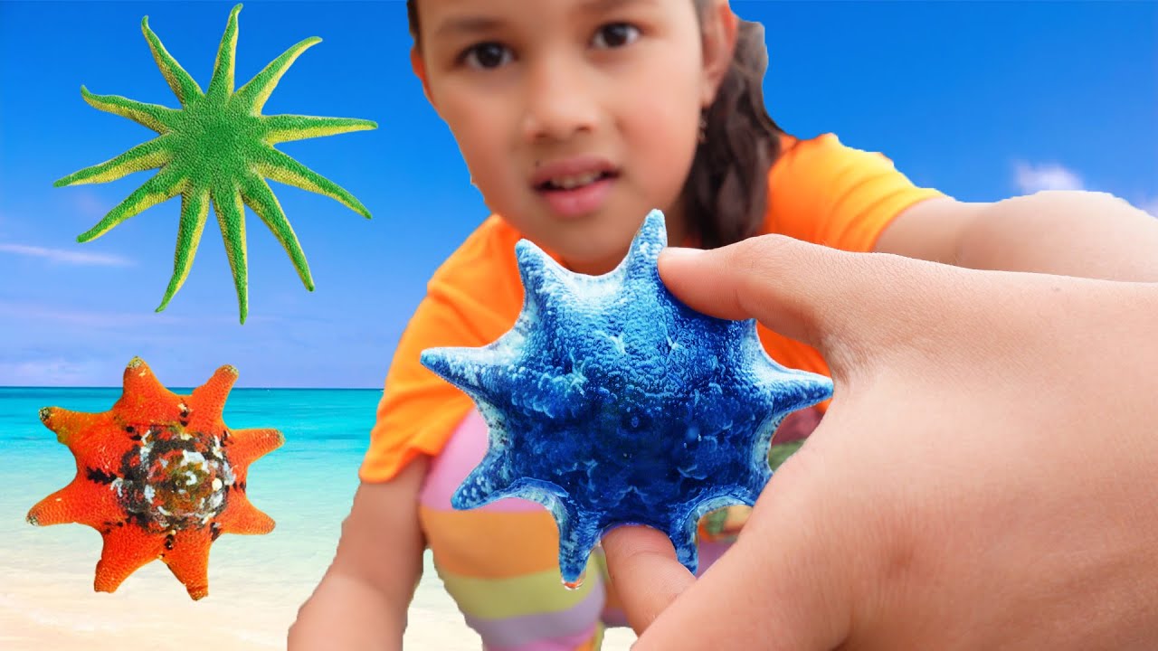 Zoe Finds Starfish In Rock Pools Tide Pools For Kids Beach Fun