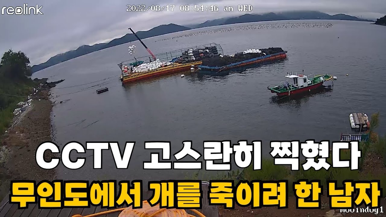 3년 간 무인도에 살던 남자와 개들에게 일어난 아찔했던 순간 무인도그 일주편EP-8