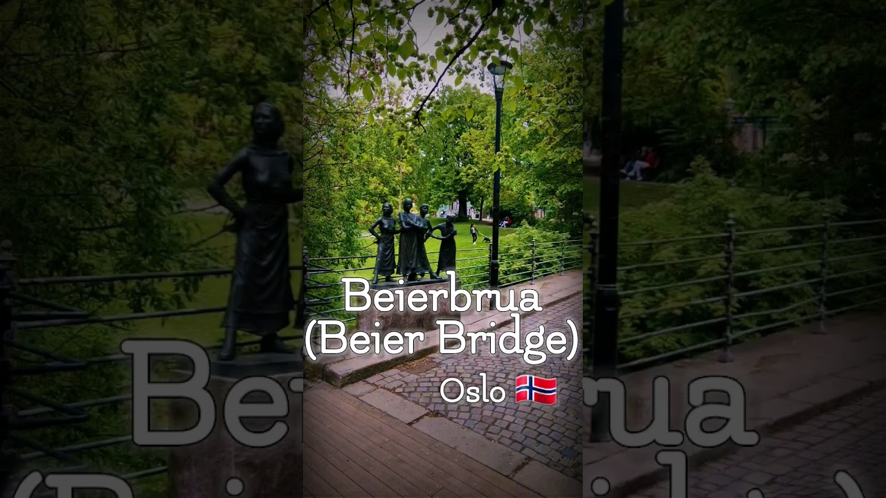 Beier Bridge (Beierbrua) in Oslo, Norway,  #short #shorts #shortvideo