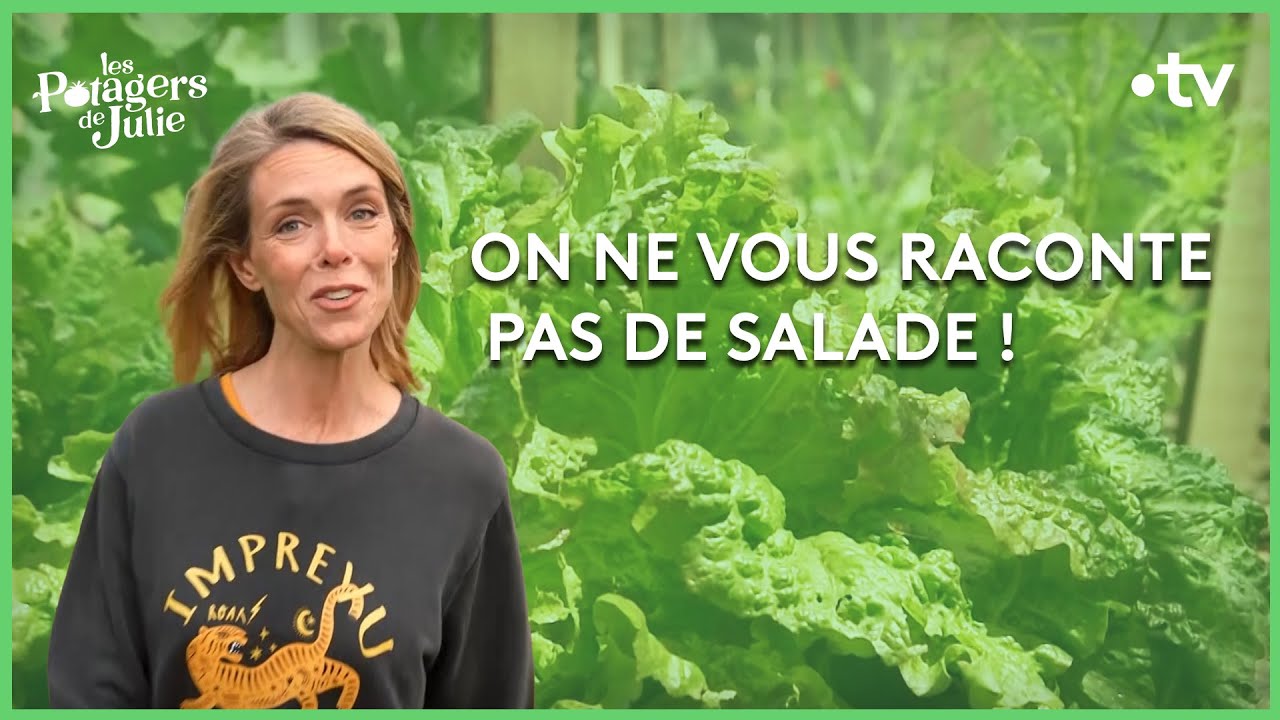 Comment faire pousser de la salade ? - Les potagers de Julie