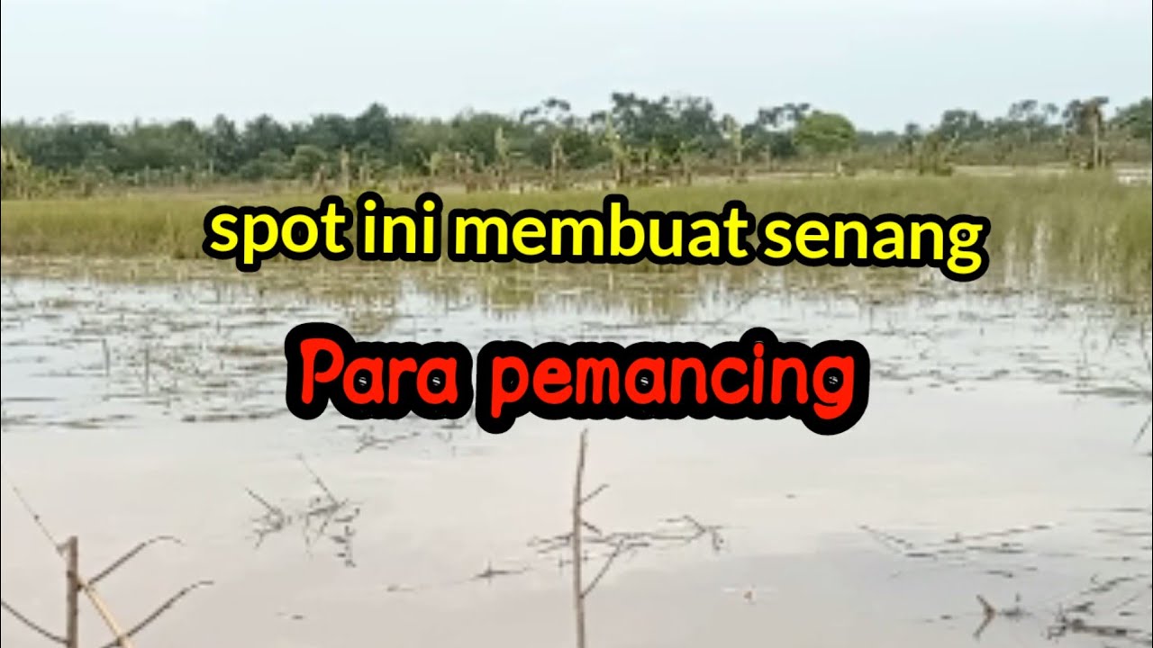 Tidak ada kata bosan mancing disini