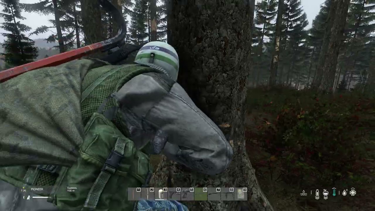 Dayz прогулянка отримав нагоріхи та похід до центру