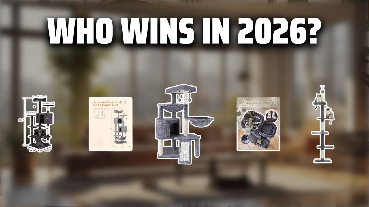 The Top 5 Best Cat Climbers in 2026 - Must Watch Before Buying!