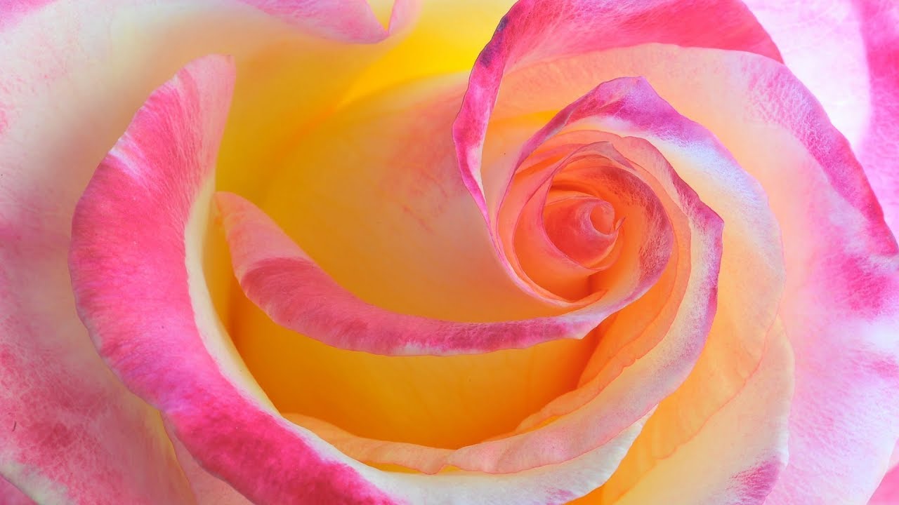 The Excellence of Shyness - Aboo 'Abdillaah Hassan as-Sumaalee