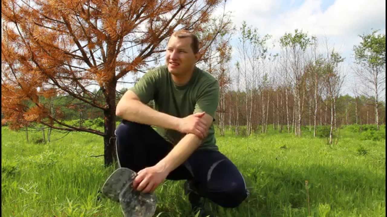 Коп в Смоленской области: 
