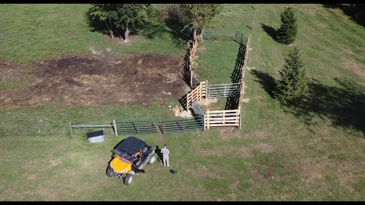 Building a Corral for Loading Cattle