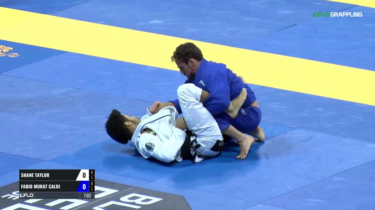 Shane Jamil Hill VS Fabio Caloi 2017 IBJJF World Championship
