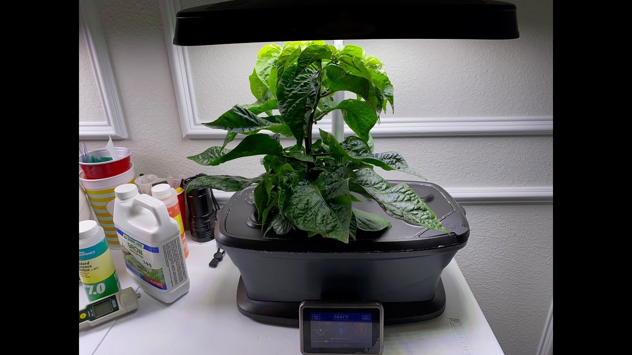 AeroGarden - Frequently Asked Questions - FAQ Part 01