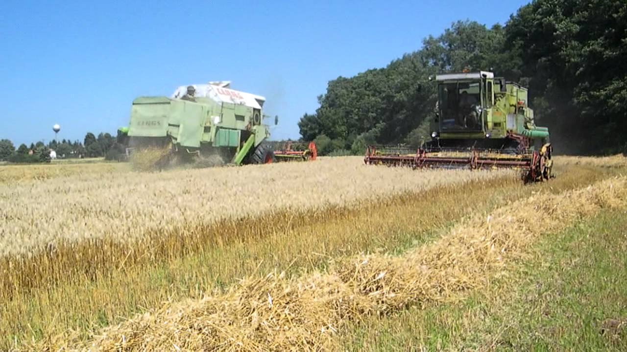 aratás 2011/ claas dominator 105&106