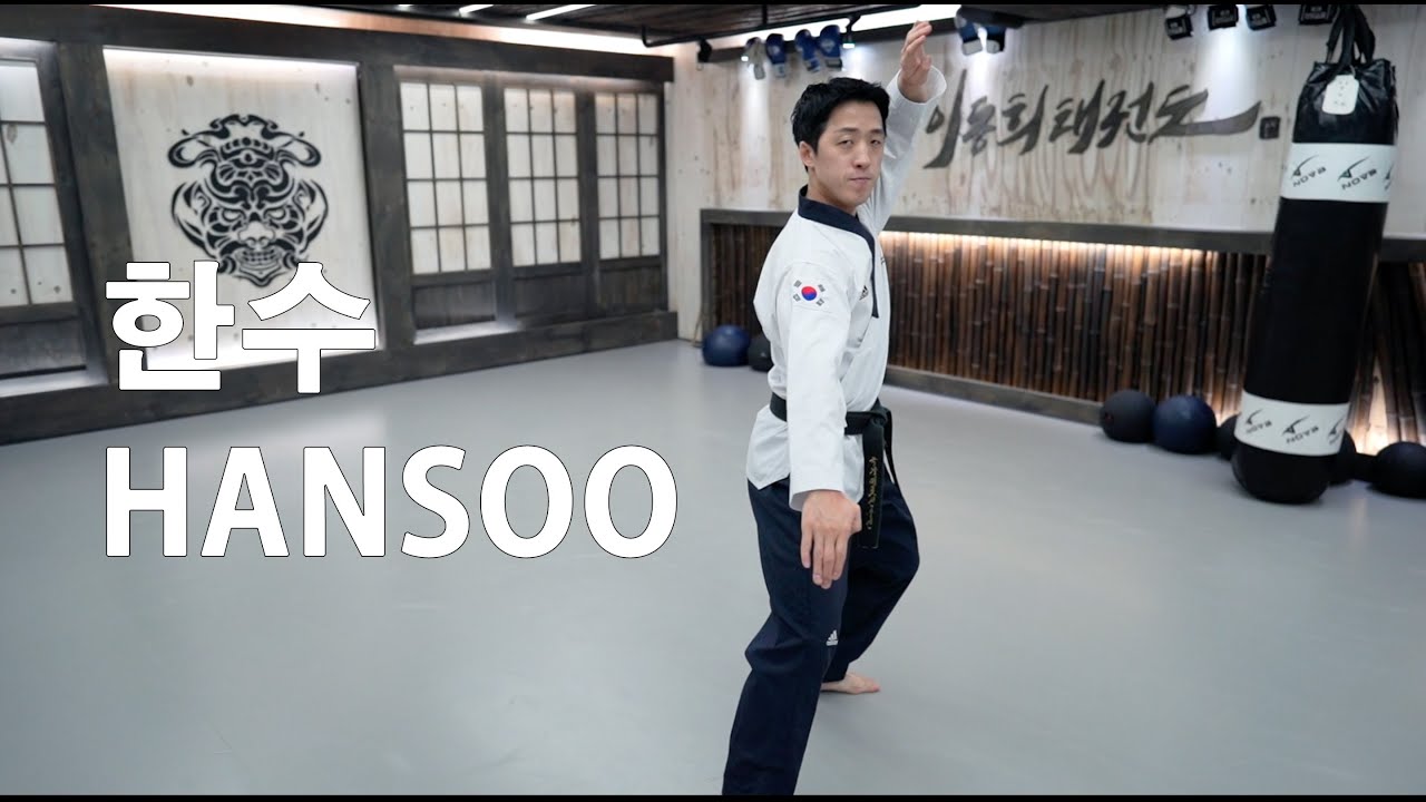 Hansoo Poomsae 한수 품새