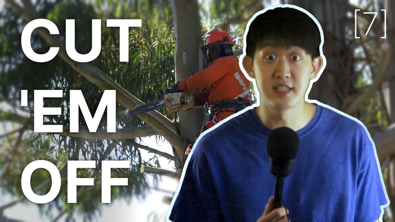 Should we save one-sided friendships?