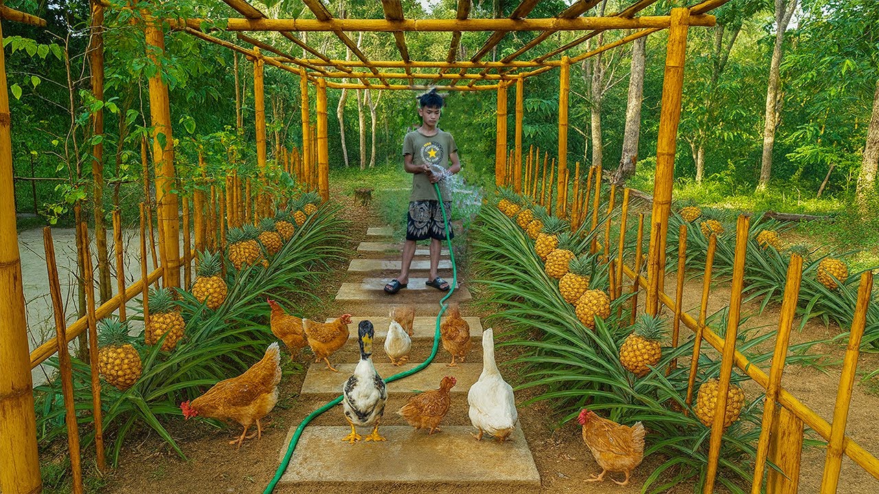 Timelapse Building Chicken and Duck Feeder | Orphan Boy&rsquo;s Daily Life