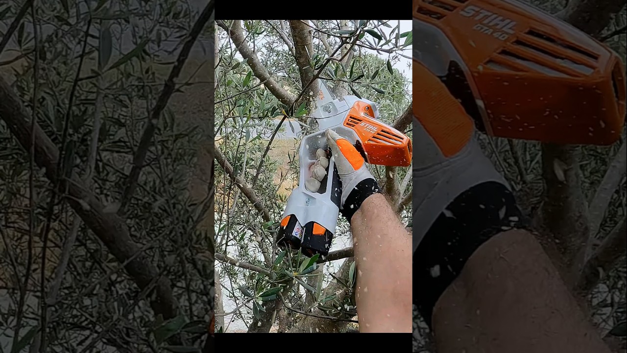 STIHL GTA 40 Top-notch single-handle pruner 