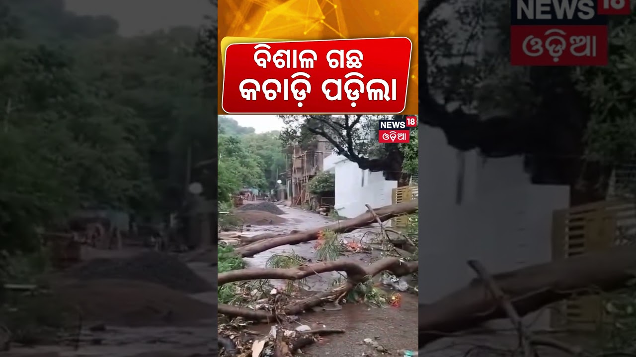 ଝଡ଼ର ତାଣ୍ଡବ! Odisha Weather Update | Odisha Rain | IMD Alert Odisha | Severe Storm Hits Koraput