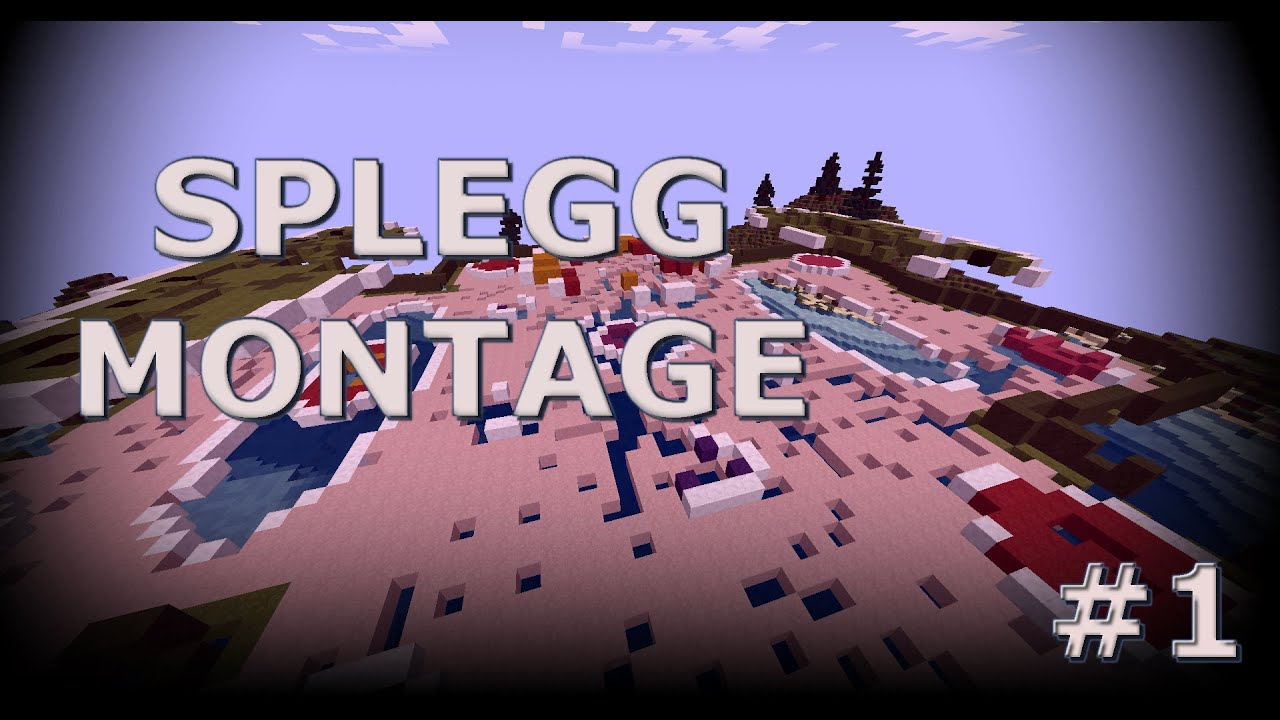 Splegg Montage
