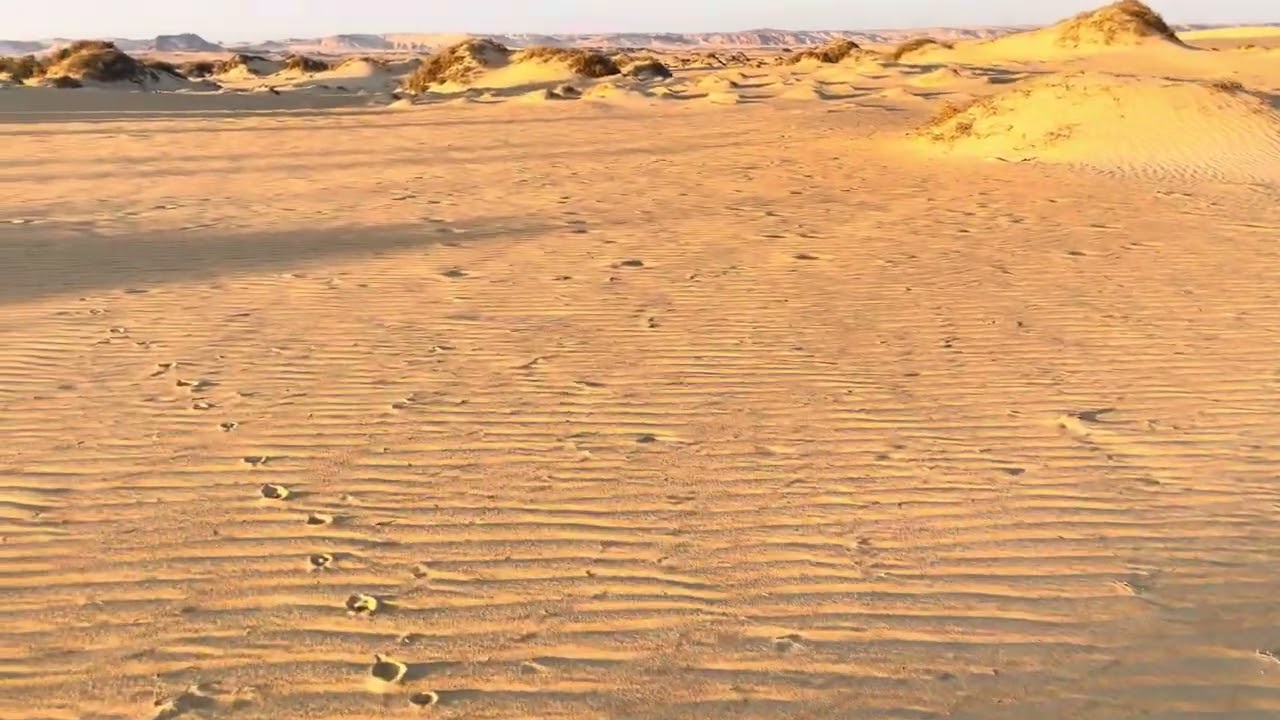 75 فدان تربه رمليه للبيع بطريق الحيز الواحات البحرية بسعر ممتاز😱