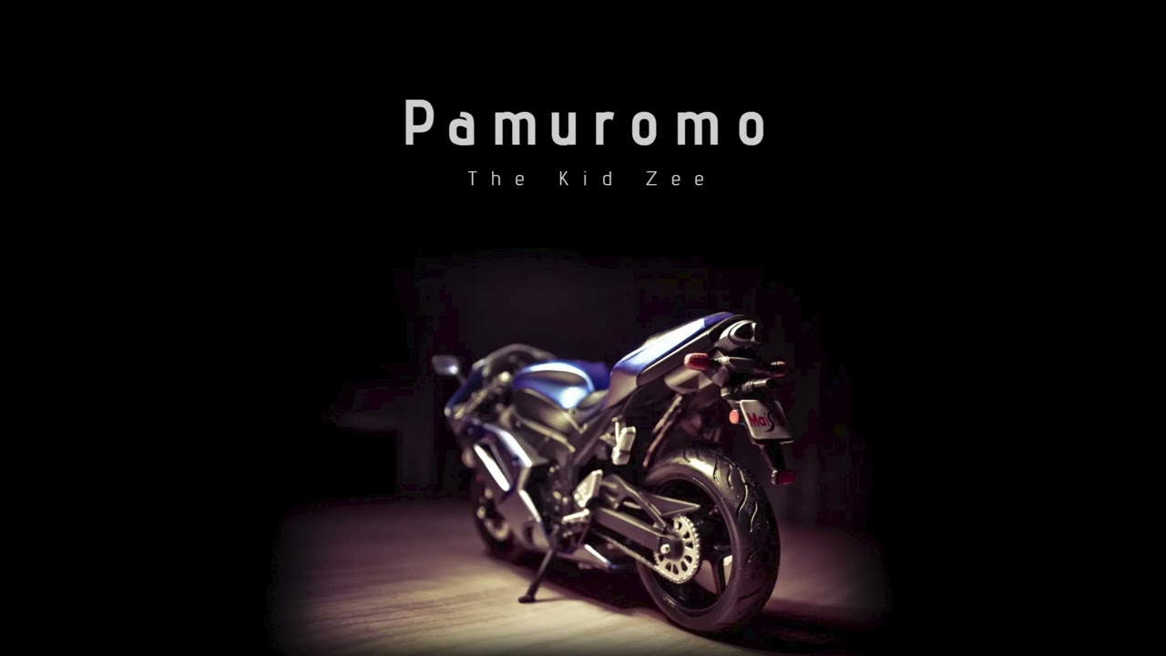 Pamuromo The Kid Zee