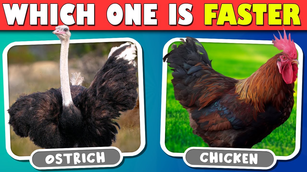 How Well Do You Know Animals? General Knowledge Animal Trivia Quiz