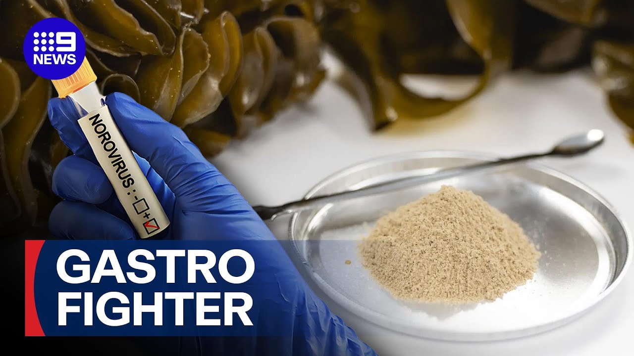 The surprising food that could help fight a common stomach bug | 9 News Australia