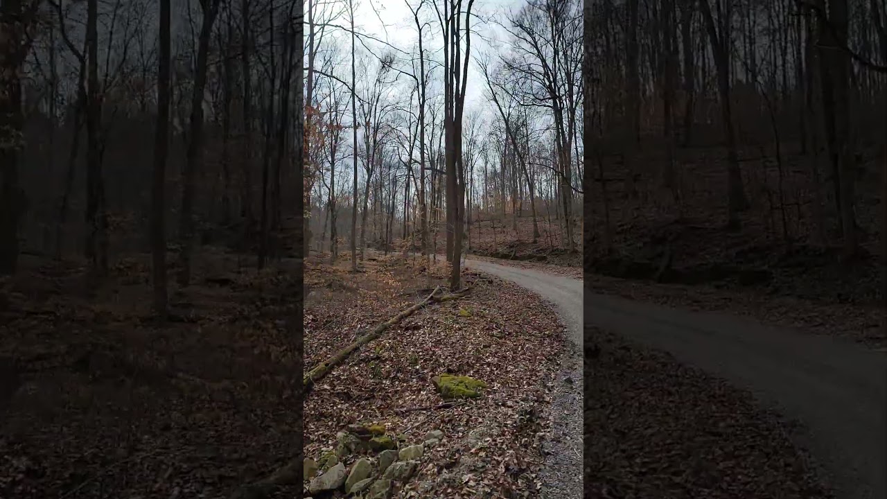 Welcome to Hoosier National Forest #midwest #turkeyhunting #turkeyseason2024 #backroads
