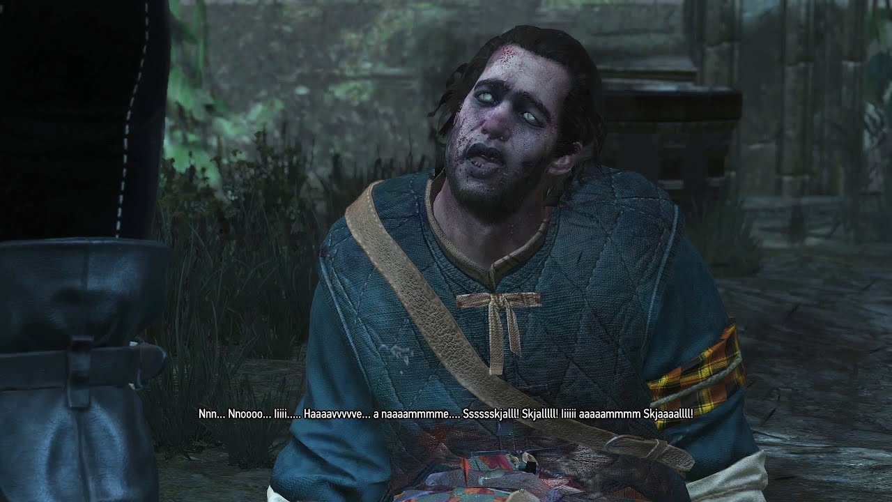 The Witcher 3: Nameless