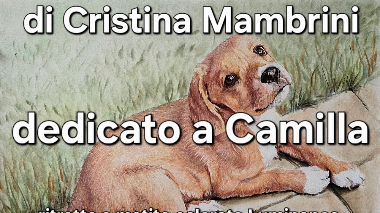 ‪@cristinamambrini‬