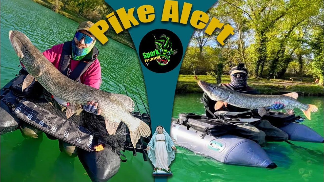 Una pescata tranquill...no. #pike #luccio