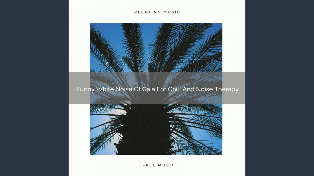 Fantastic Tunes Of Forest For Recharge And White Noise Therapy