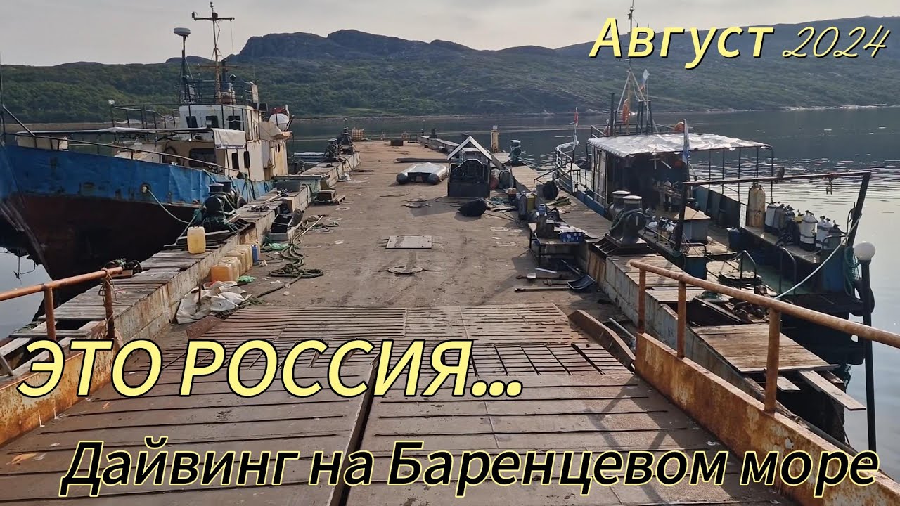 Дайвинг на Баренцевом Море. Лиинахамари. Август 2024. AW DIVING