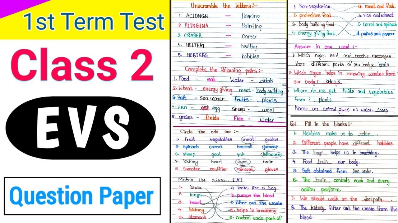 Class 2 EVS | Class 2 EVS Worksheet | EVS Worksheet for class 2 | Class 2 Worksheet ||