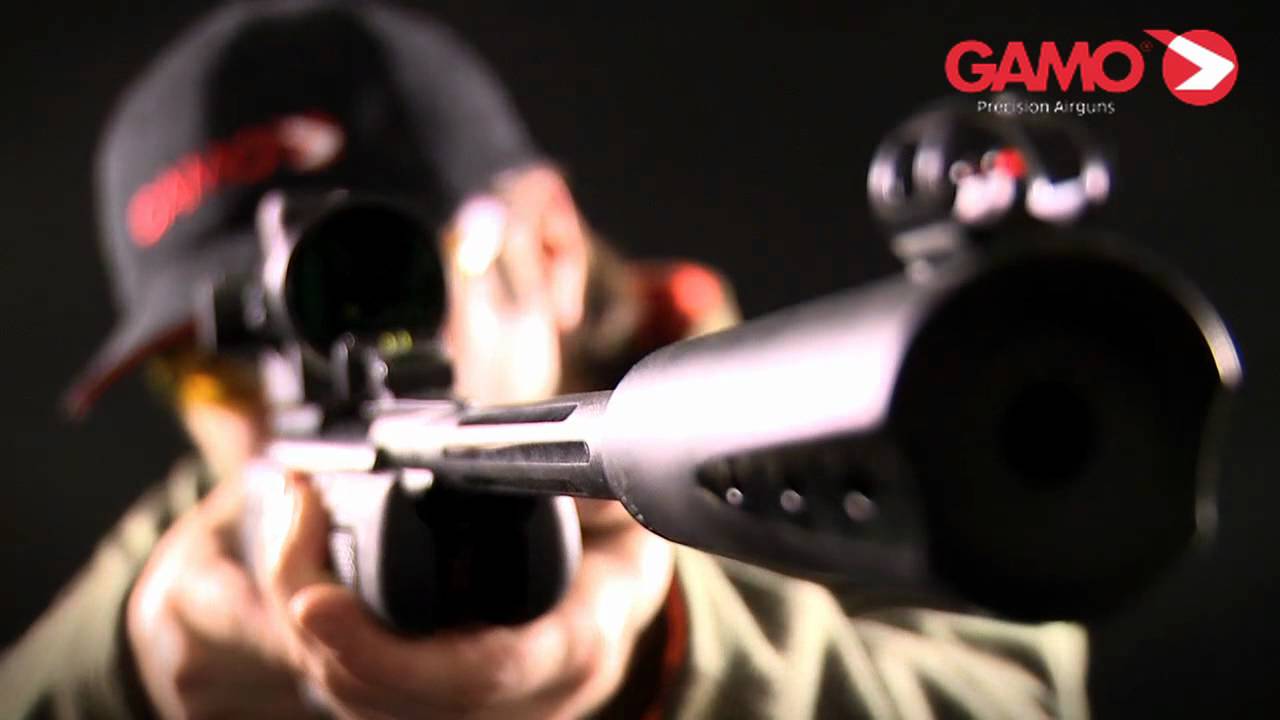 GAMO PELLETS: YOU CHOOSE!