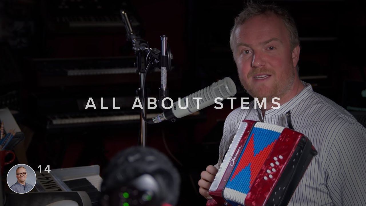 #14 ALL ABOUT STEMS